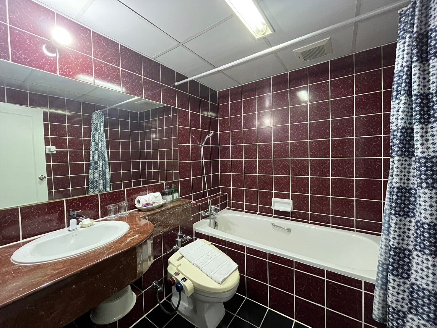 executive suite, 1 king bed | bathroom | combined shower/bathtub, free toiletries, hair dryer, bidet