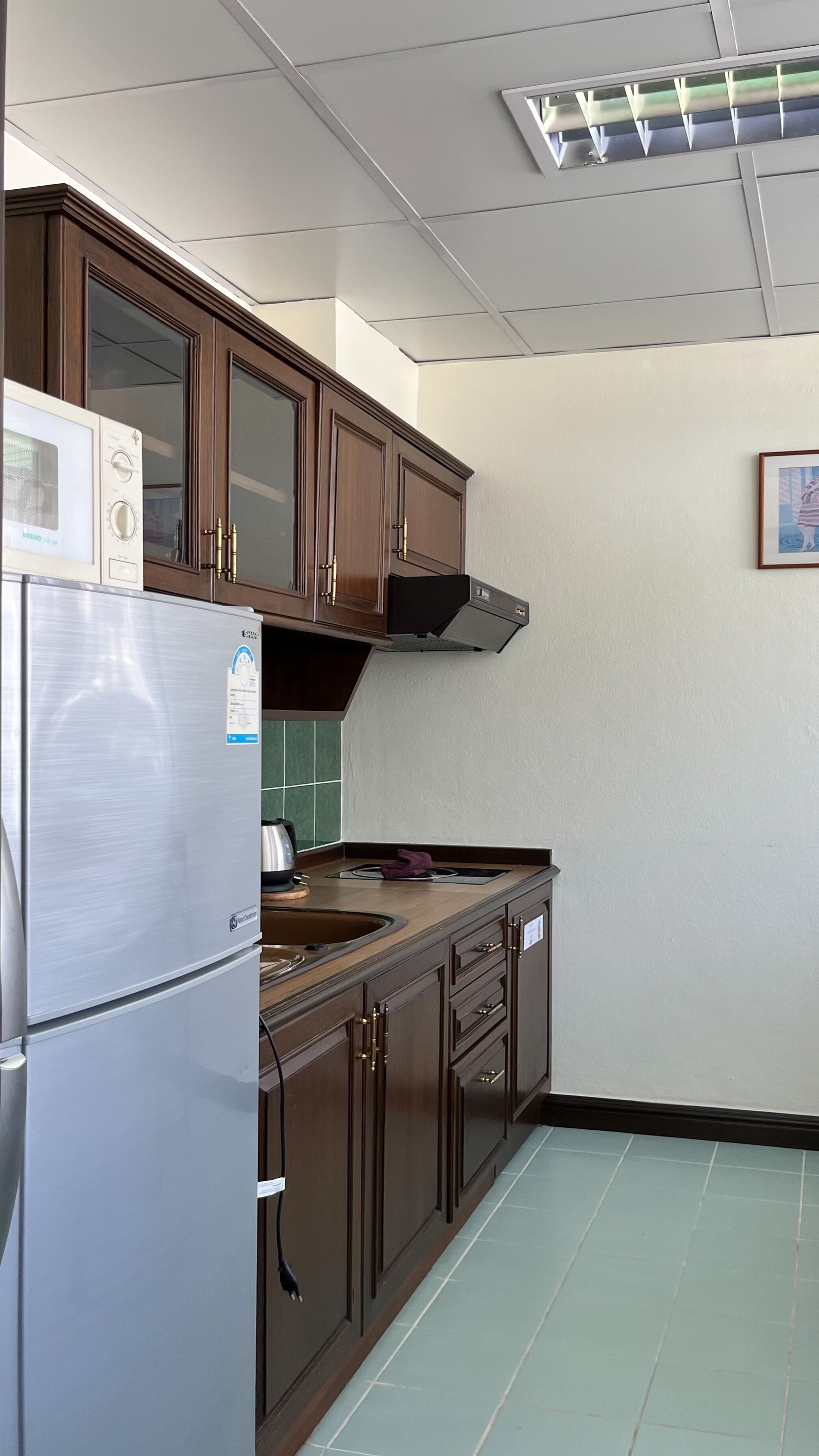 executive suite, 2 single beds, non smoking, city view | private kitchen | microwave, stovetop, dishwasher, electric kettle