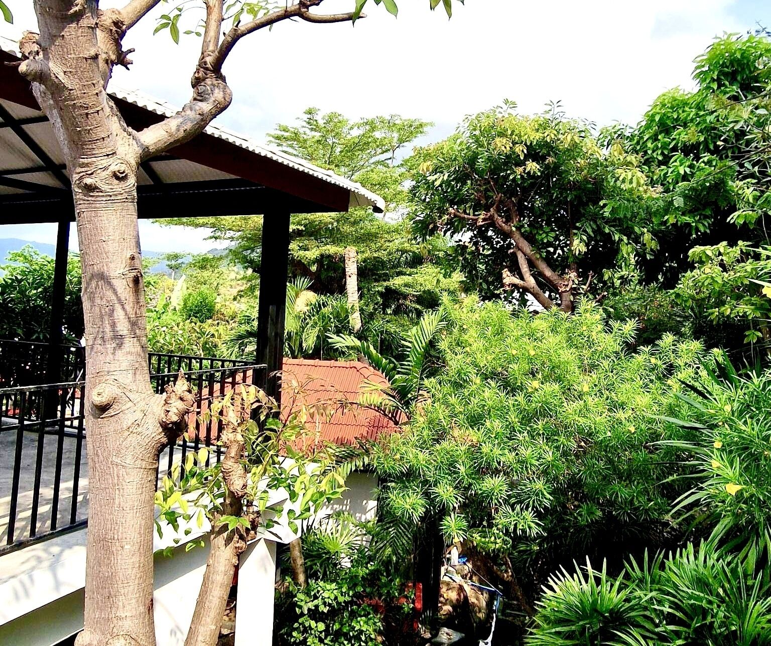 bungalow with garden view | 1 bedroom, premium bedding, minibar, in-room safe