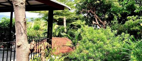 A covered outdoor area with a white building, a tree, and lush greenery.