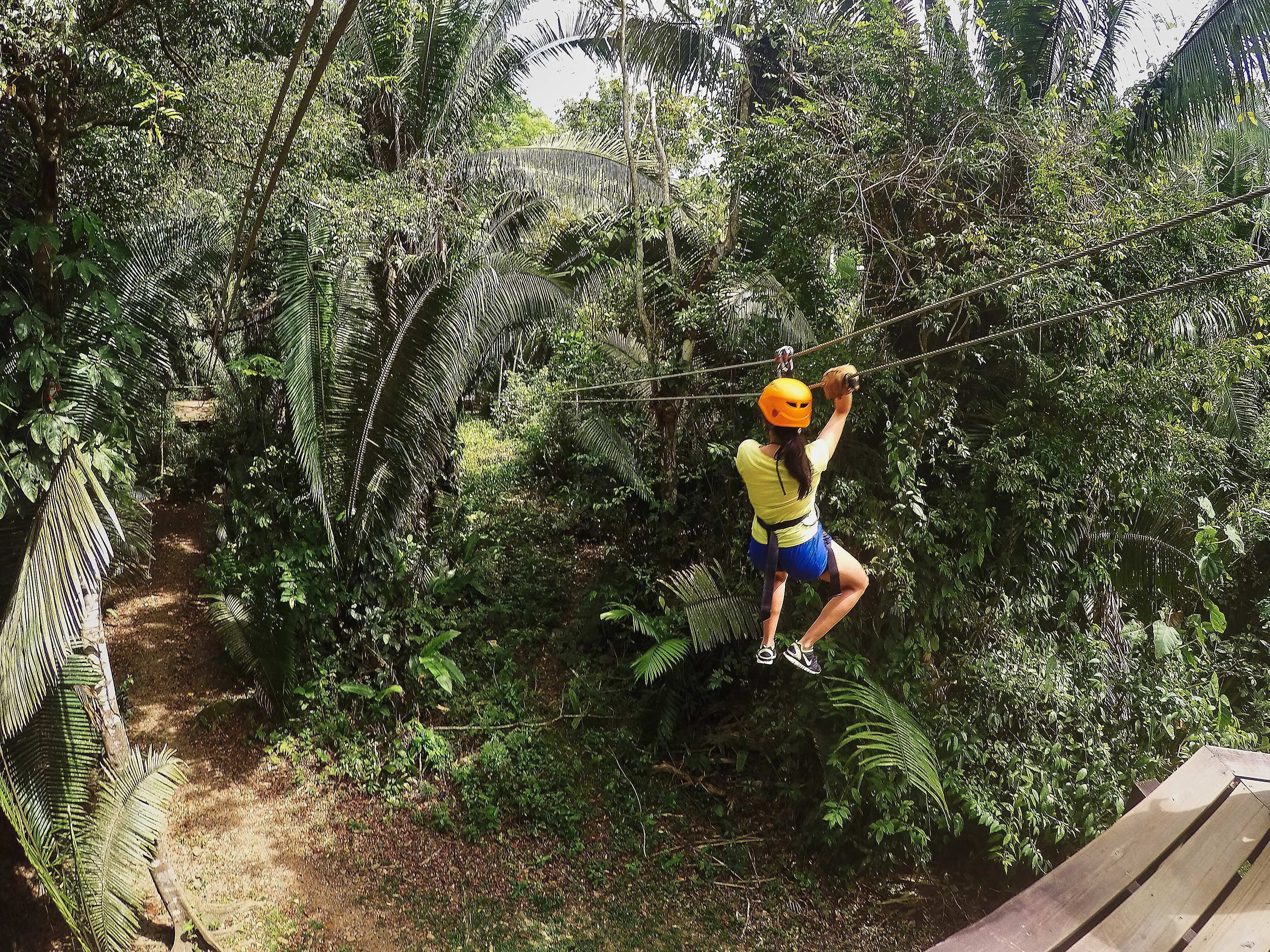 A person zip-lining through a dense, tropical forest.