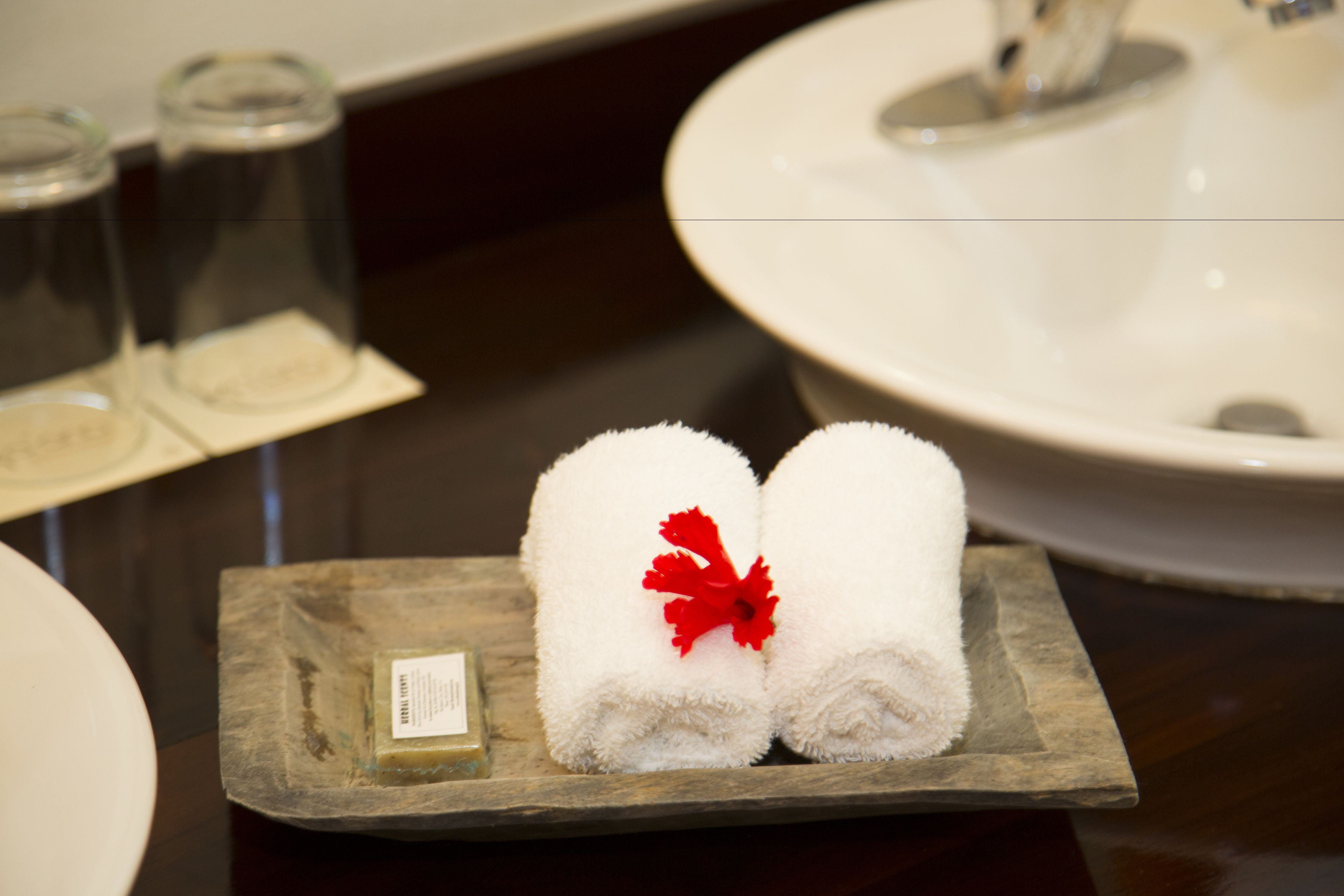 shower, hair dryer, bathrobes, slippers