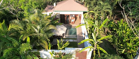 A house surrounded by dense tropical vegetation, with a swimming pool and a covered patio area.