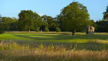 A golf course with a flagstick, trees, and a rock formation.
