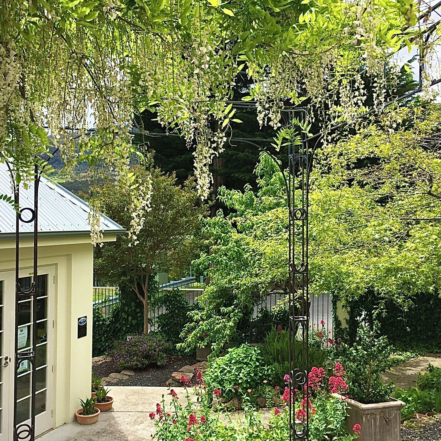 A garden with various plants and flowers, a metal fence, and a building with a door.