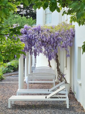 Exterior - The Woodbridge Waterfront Rooms. (New Norfolk)