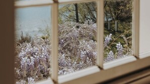 Vista a través de una ventana con un diseño de cuadrícula, mostrando un río, árboles y un paisaje lejano.