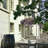 Waterfront Terrace King Room | Terrace/patio
