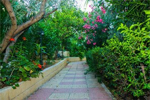 Un sendero pavimentado en un jardín exuberante, con follaje denso y plantas en flor.