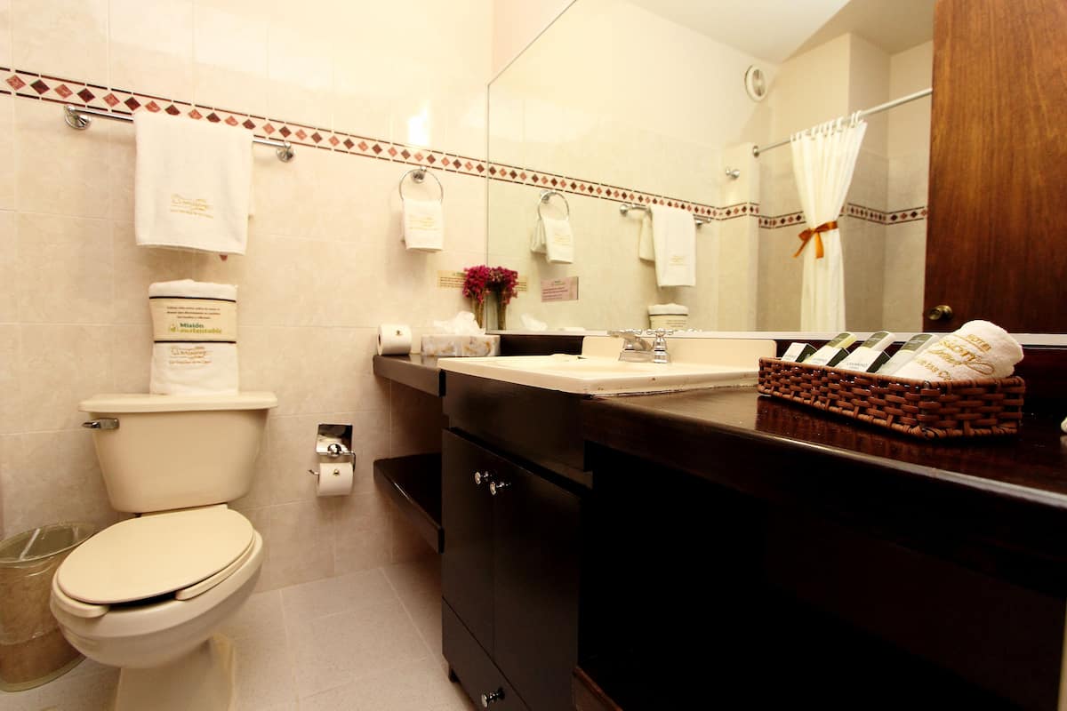 shower, free toiletries, hair dryer, towels