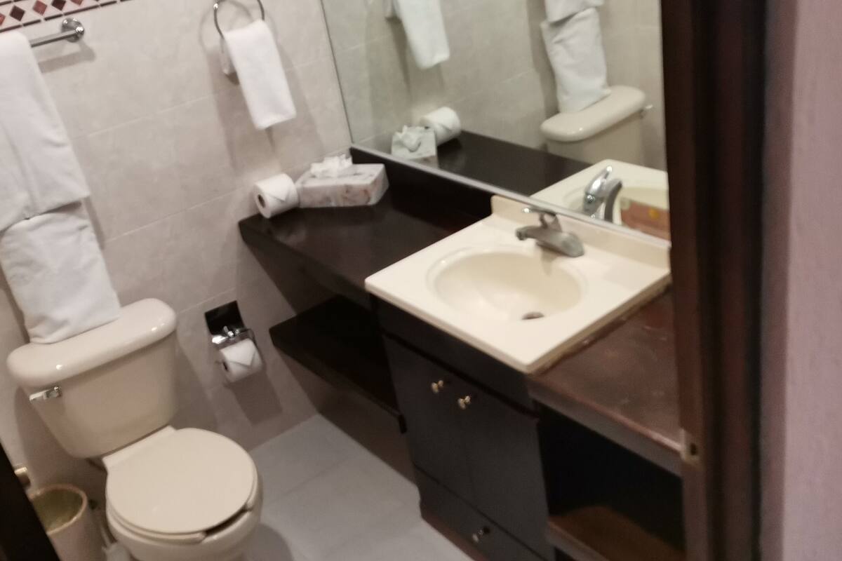 deluxe room, 1 double bed | bathroom | shower, free toiletries, hair dryer, towels