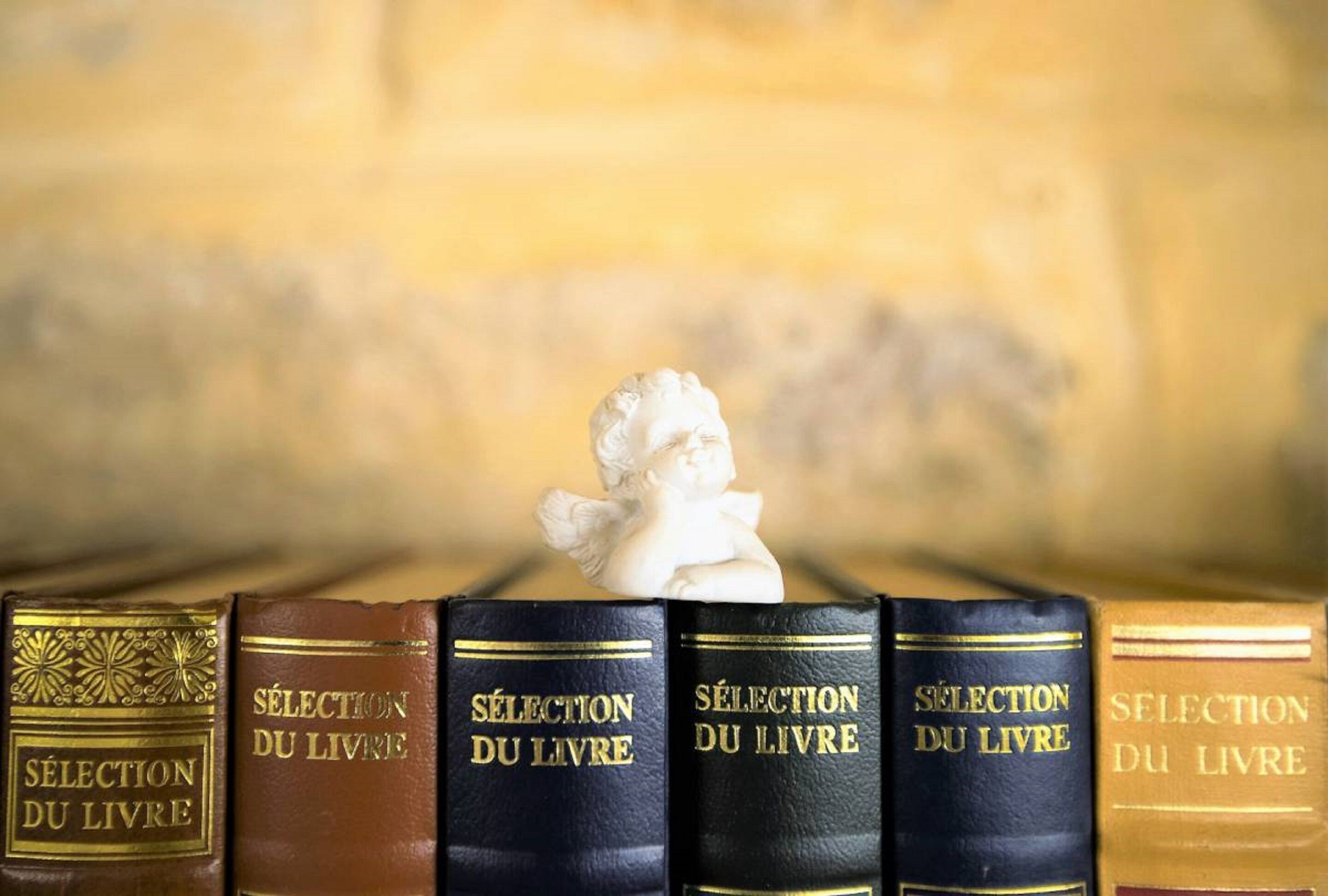 Een rij boeken met de titel 'Sélection du Livre', met een klein wit beeldje erboven.