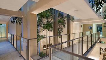 Lorong