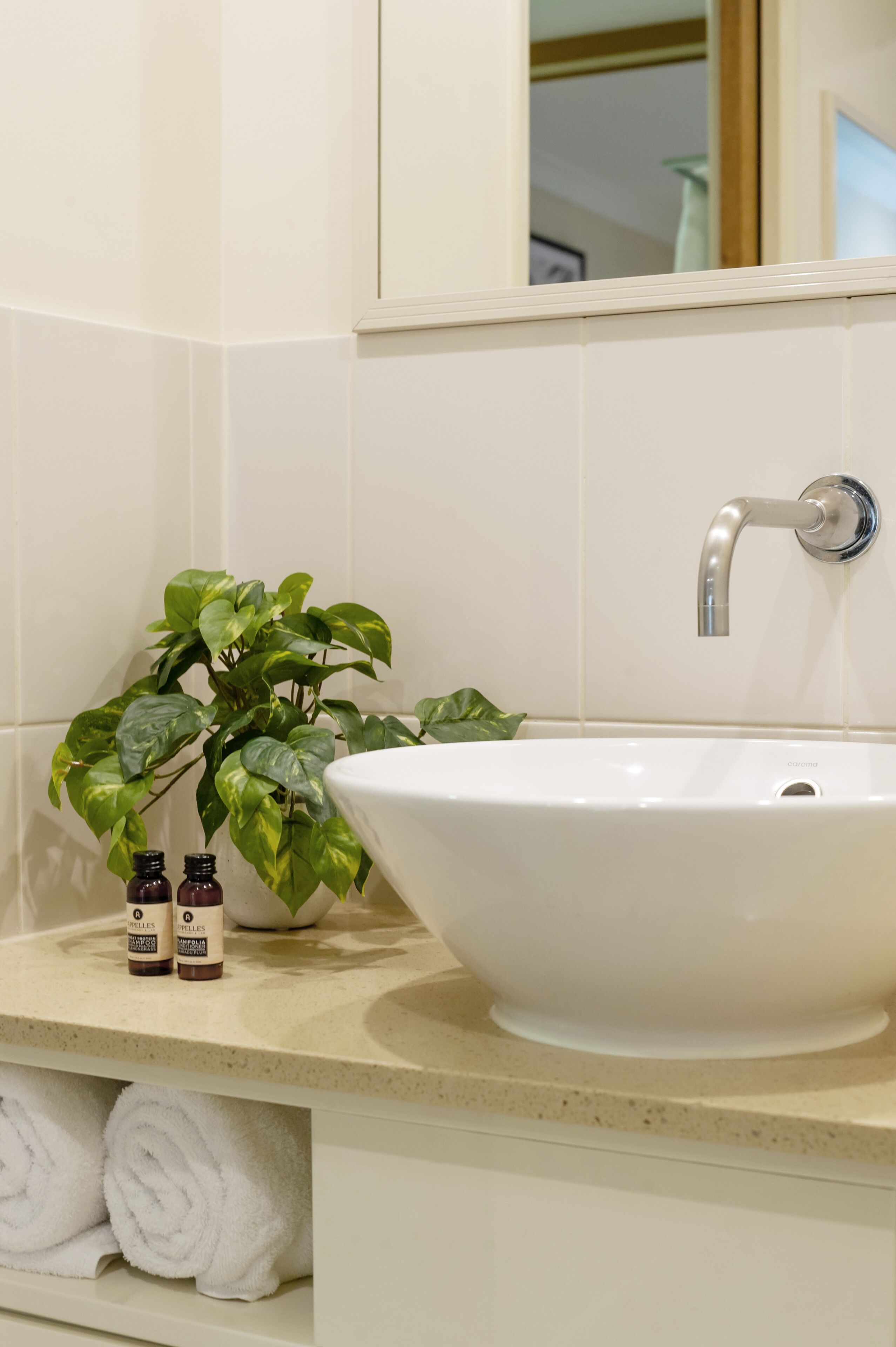 A bathroom with a white sink, a mirror, and a potted plant. There are two bottles of toiletries on the counter.