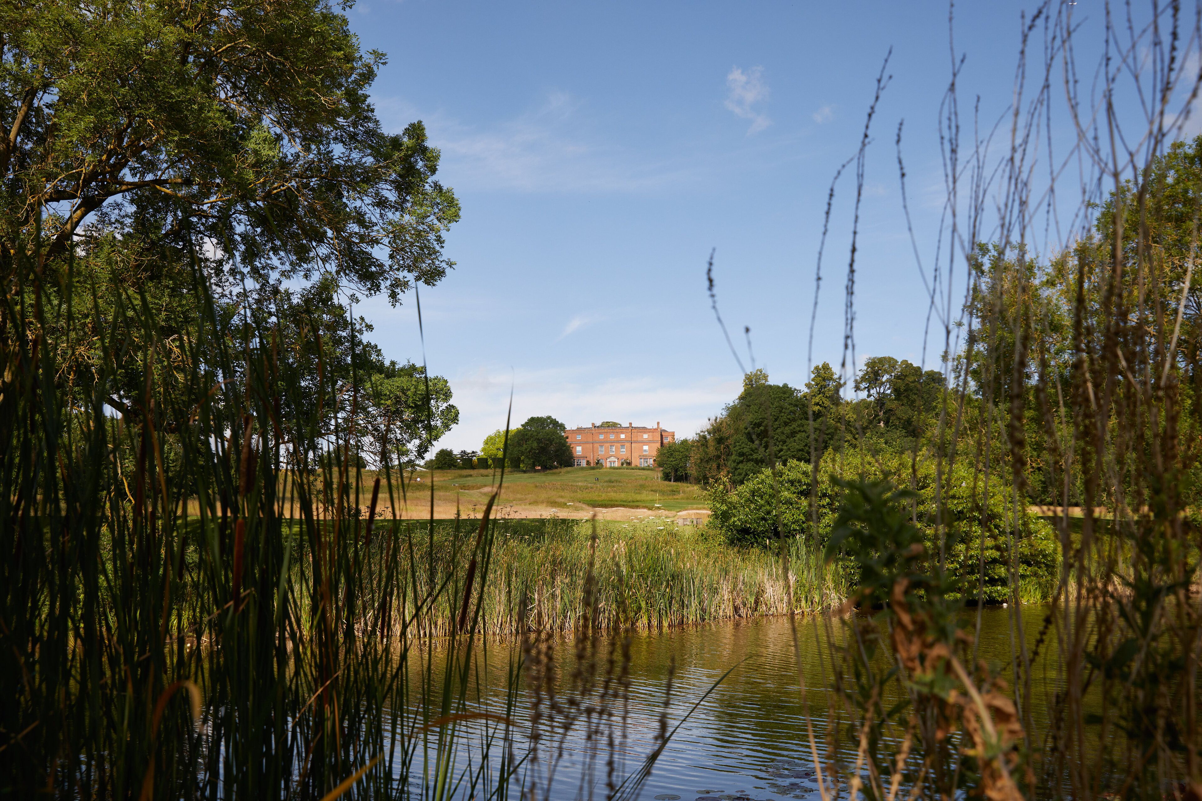 Eine friedliche Landschaft mit Teich, hohem Gras und einem Gebäude im Hintergrund.