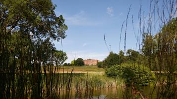 A serene landscape with a pond, tall grasses, and a building in the background.