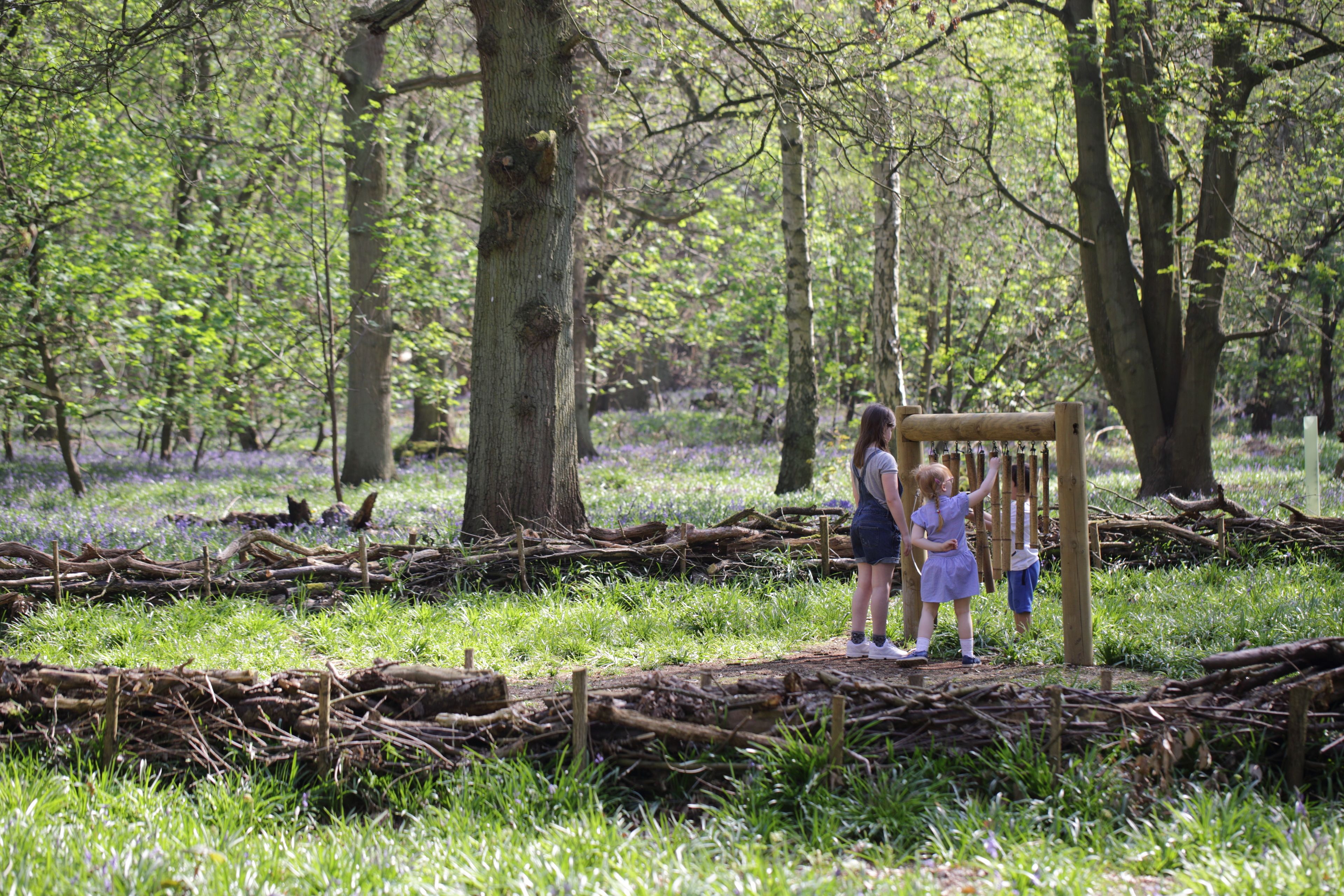 children’s activities