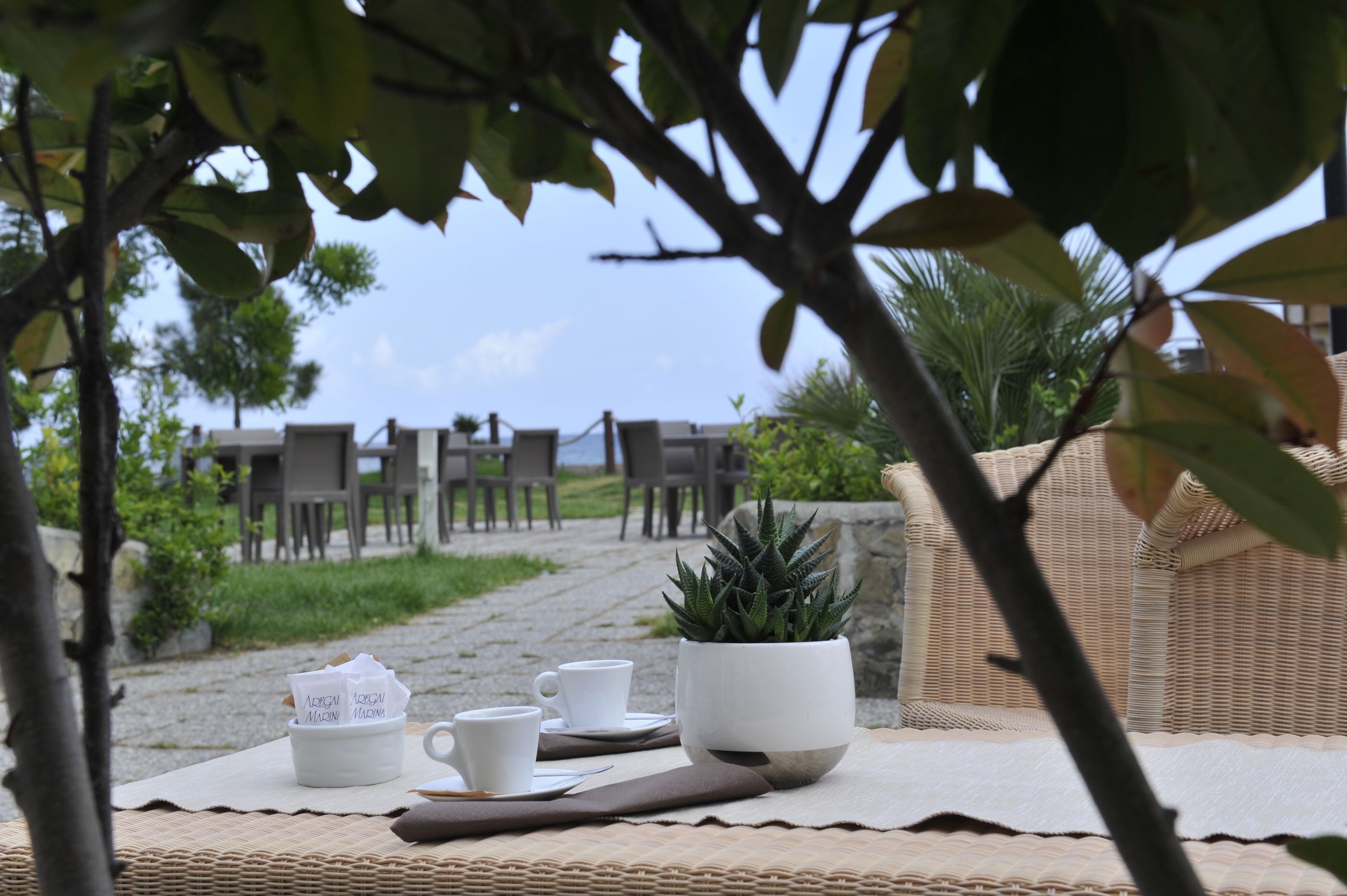 Une table dressée avec des tasses et des soucoupes blanches, une plante en pot et un set de table, sur une terrasse donnant sur la plage.