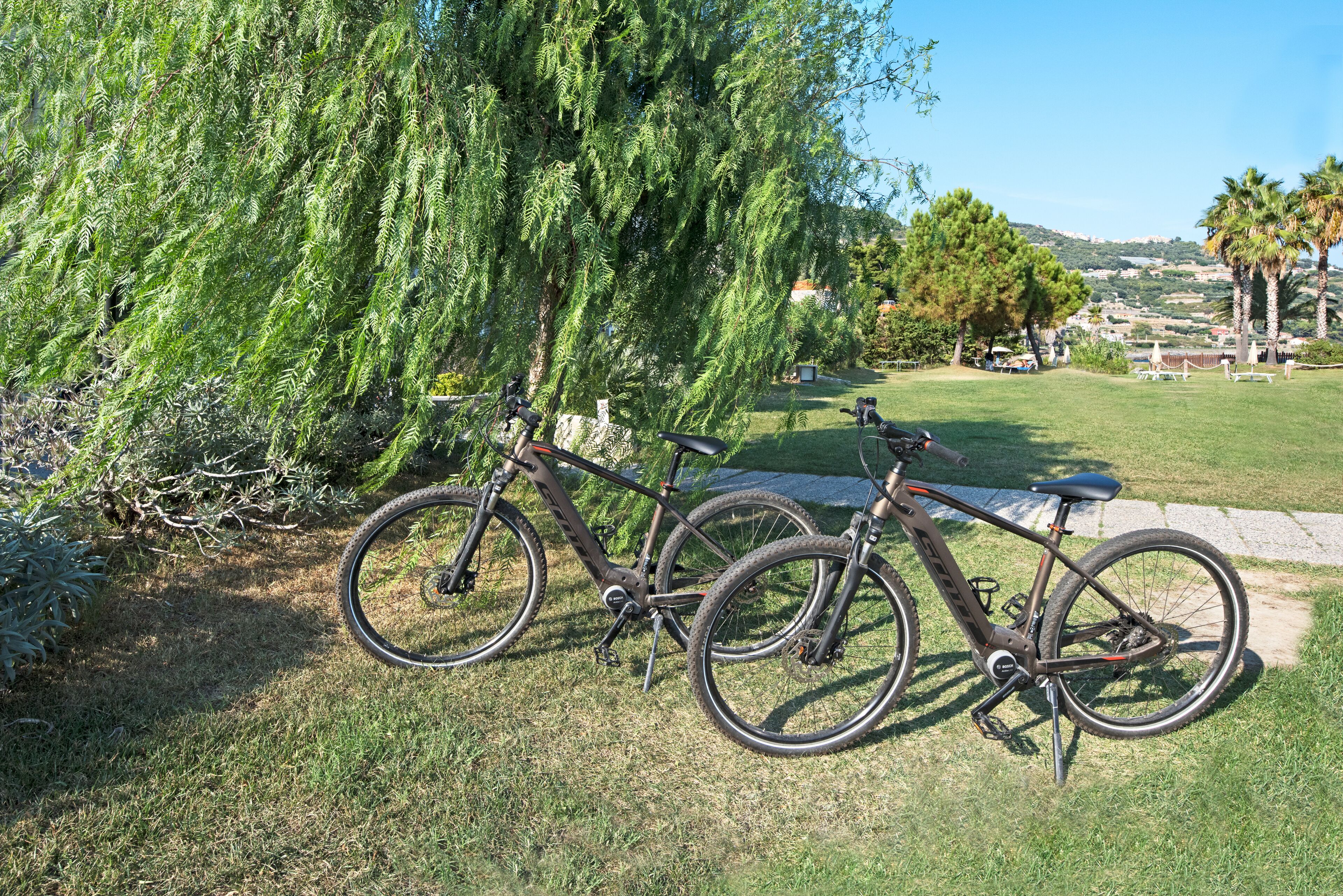 Una bicicleta estacionada cerca de un sauce llorón en un área con césped y una vista despejada de un paisaje montañoso al fondo.