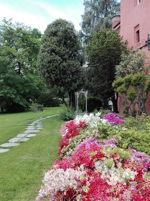 View from property - Castello Rosso (Costigliole Saluzzo)