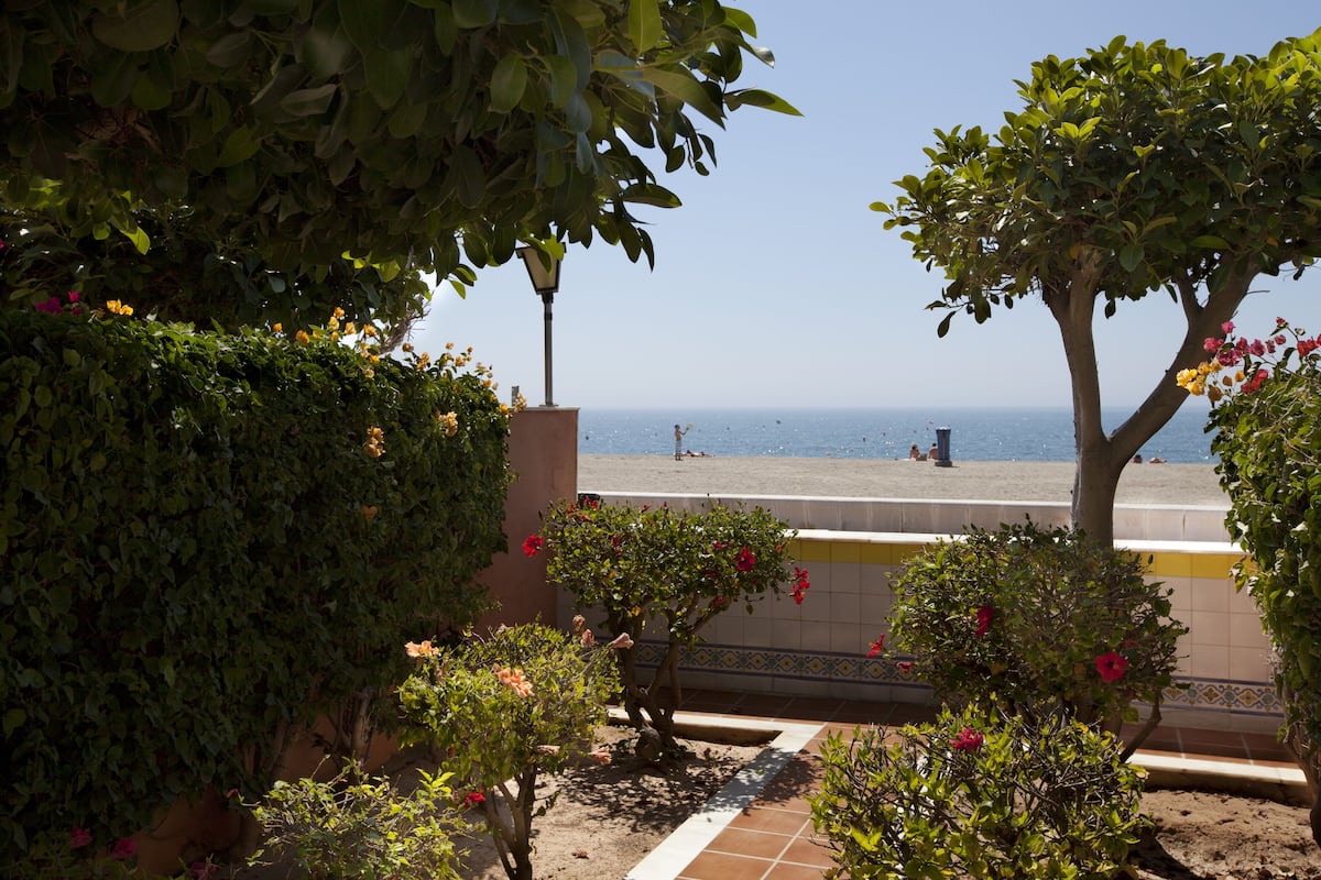 A view of a beach with a tiled patio area, surrounded by lush greenery and flowering plants.