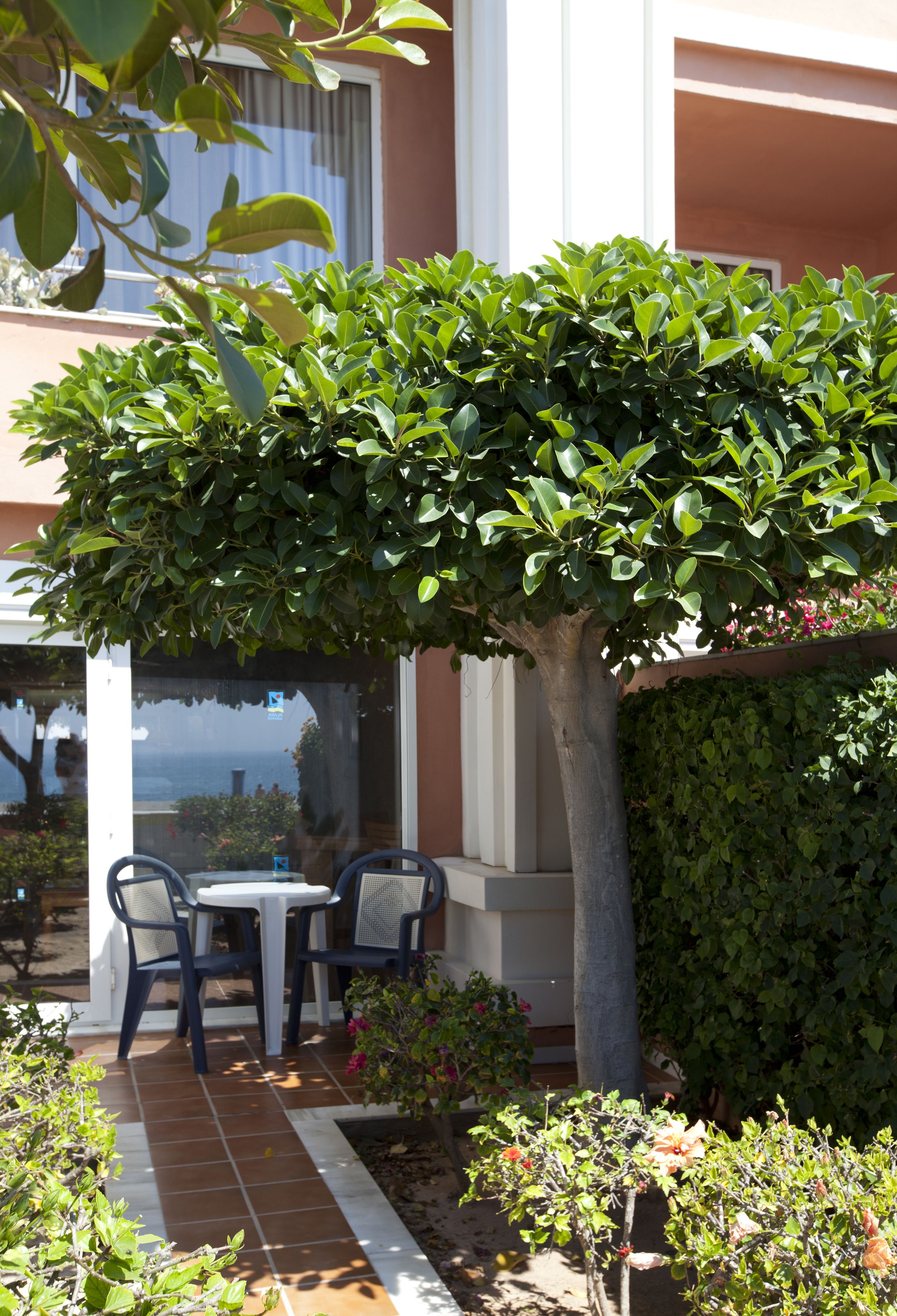 suite (playa) | terrace/patio