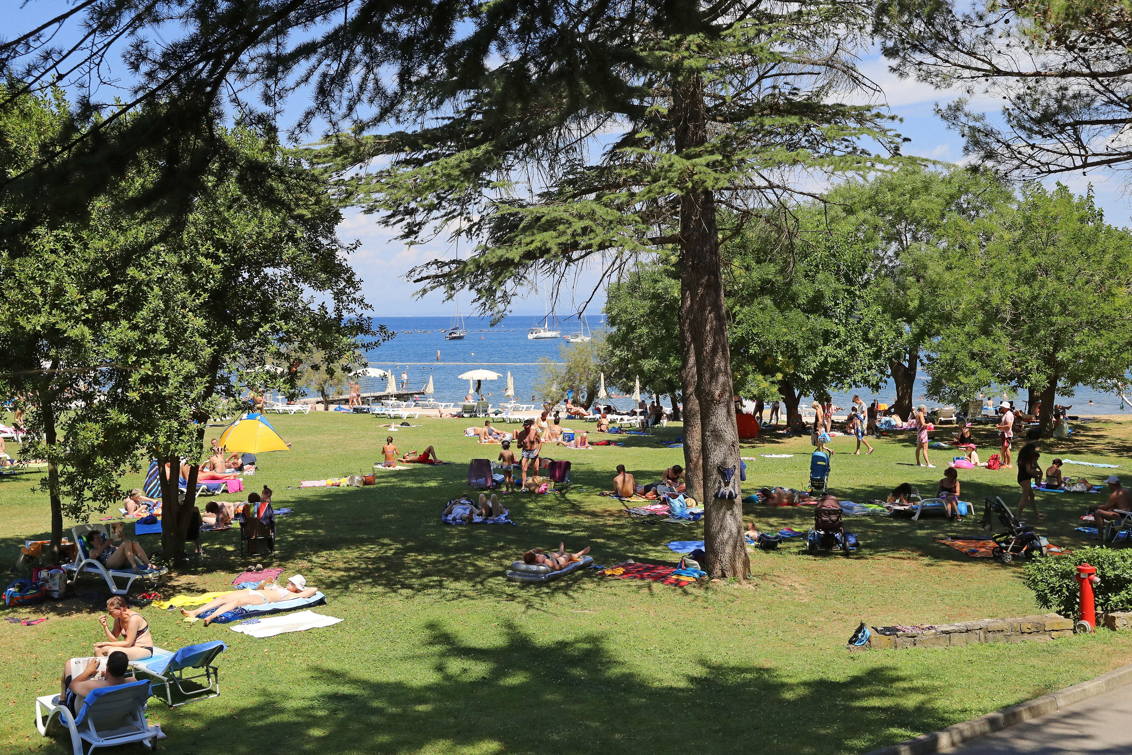 private beach, fishing