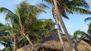 Una cabaña con techo de paja y un sendero arenoso que la conduce, rodeada de palmeras.