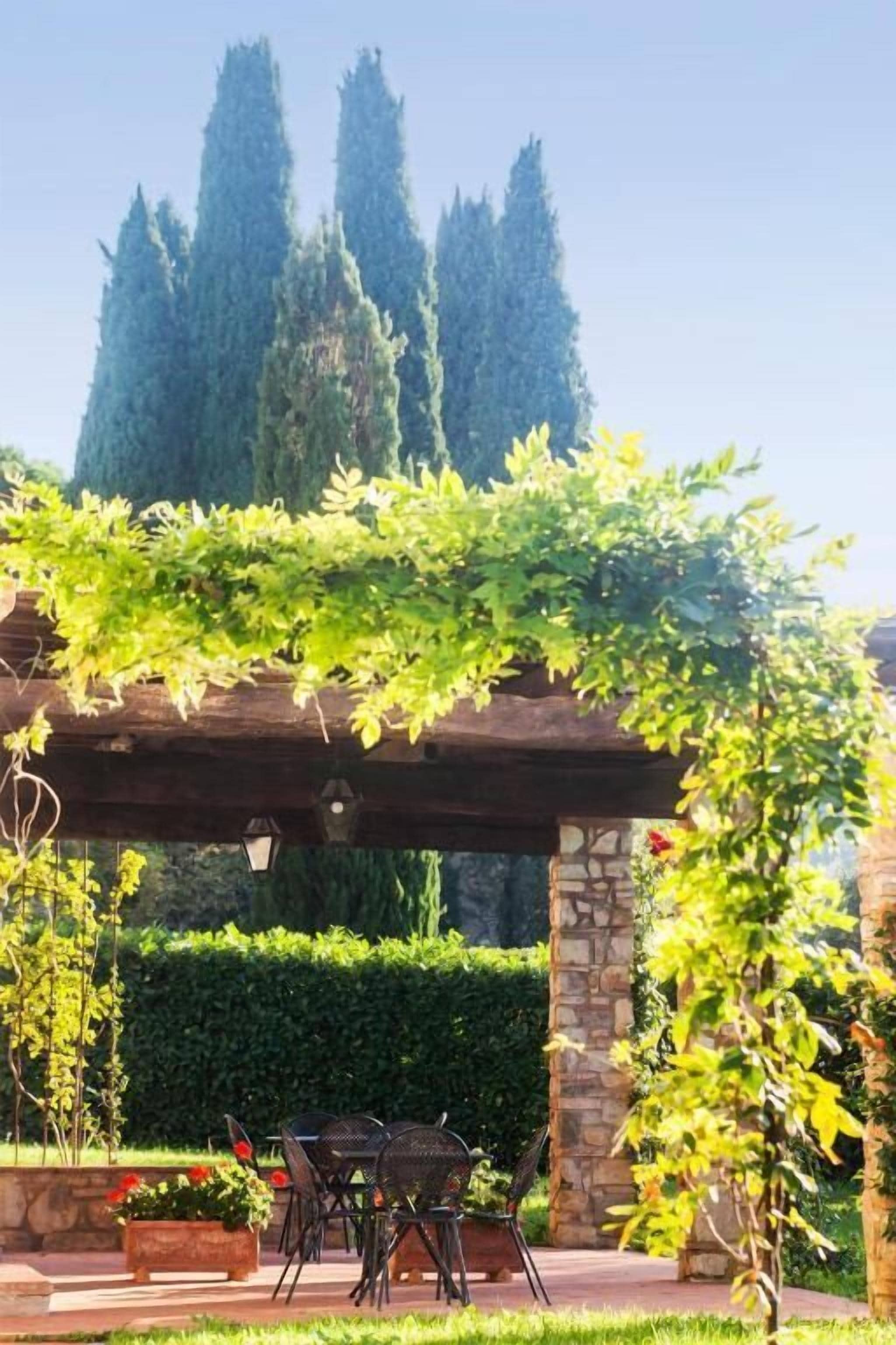 A pergola with climbing plants, a stone wall, and a seating area with chairs.