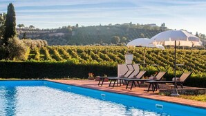 Ein Schwimmbecken mit Liegestühlen und einem Weinberg im Hintergrund.