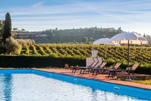 Ein Schwimmbecken mit Liegestühlen und einem Weinberg im Hintergrund.