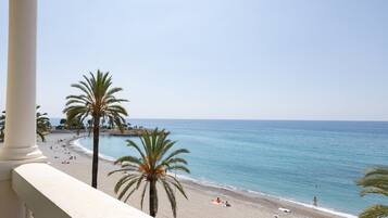 A beach view with palm trees and a clear sky.