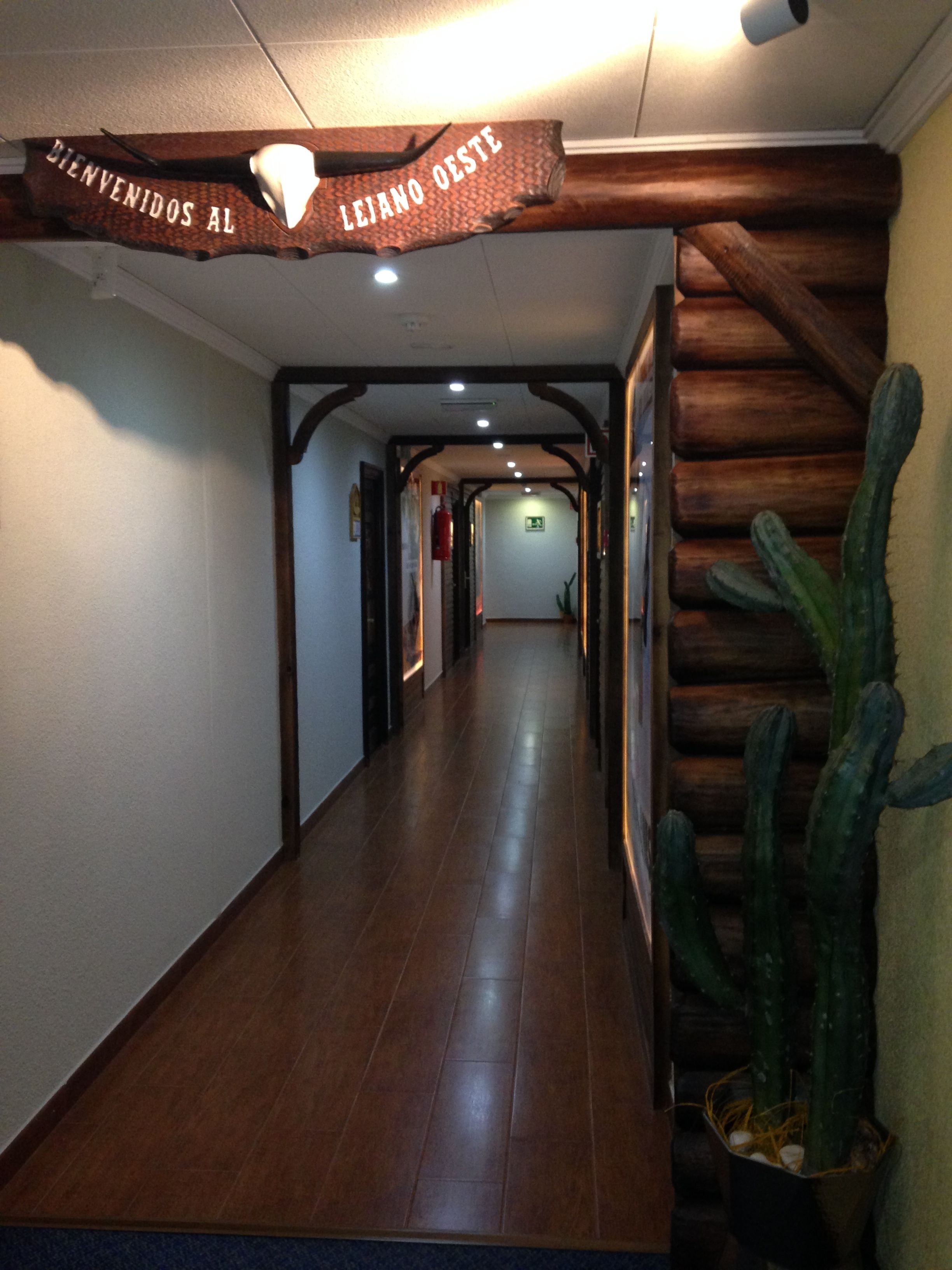 Un pasillo con paredes de madera y una planta de cactus.