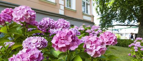 Un edificio con fachada color crema y adornos blancos, rodeado de abundante follaje y flores de hortensia moradas.