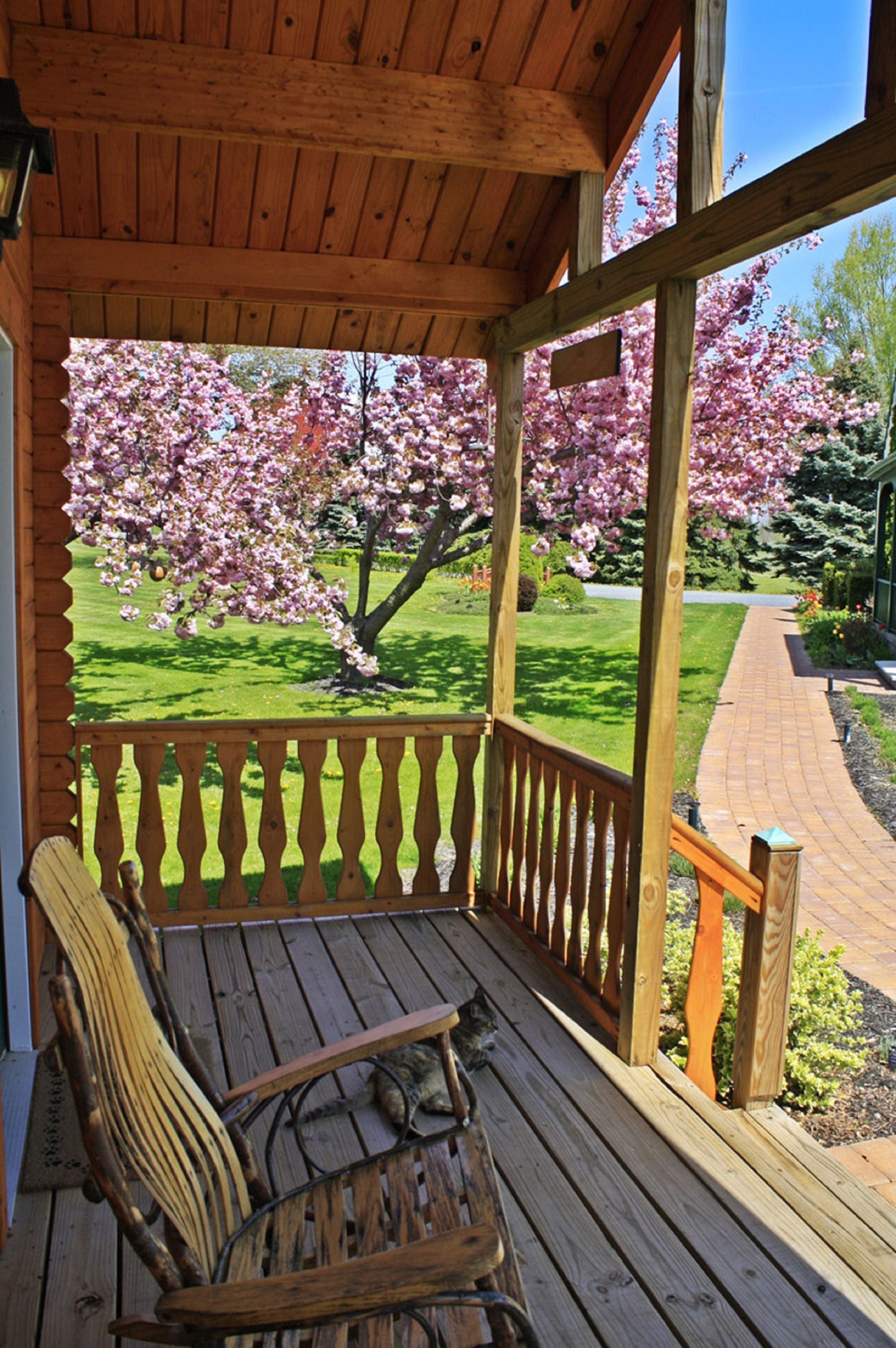 Cabin, Private Bathroom (Casa Verde |Valley View) | ลานระเบียง/นอกชาน