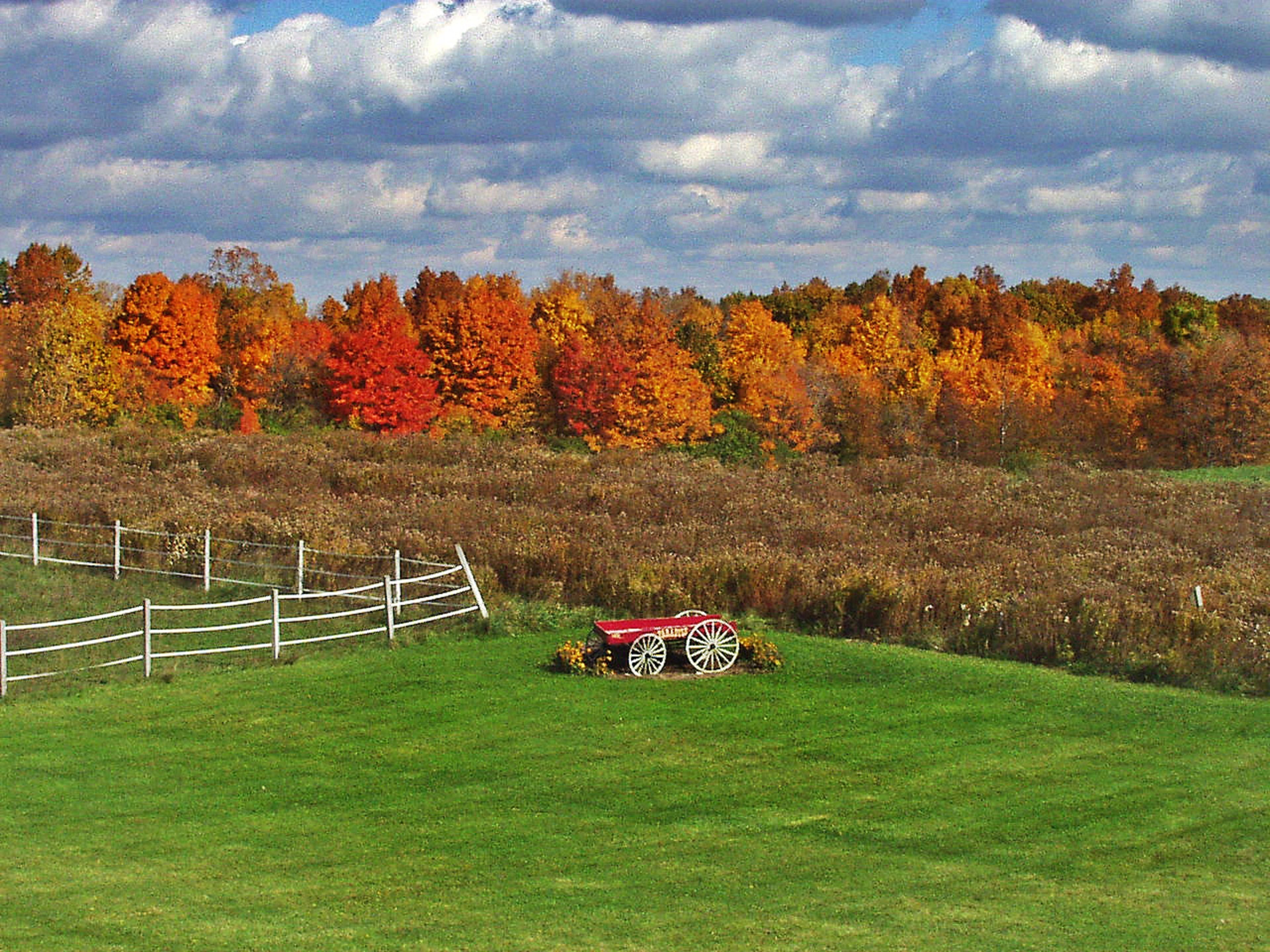 A rural landscape with a white fence, a red cart, and autumn-colored trees.