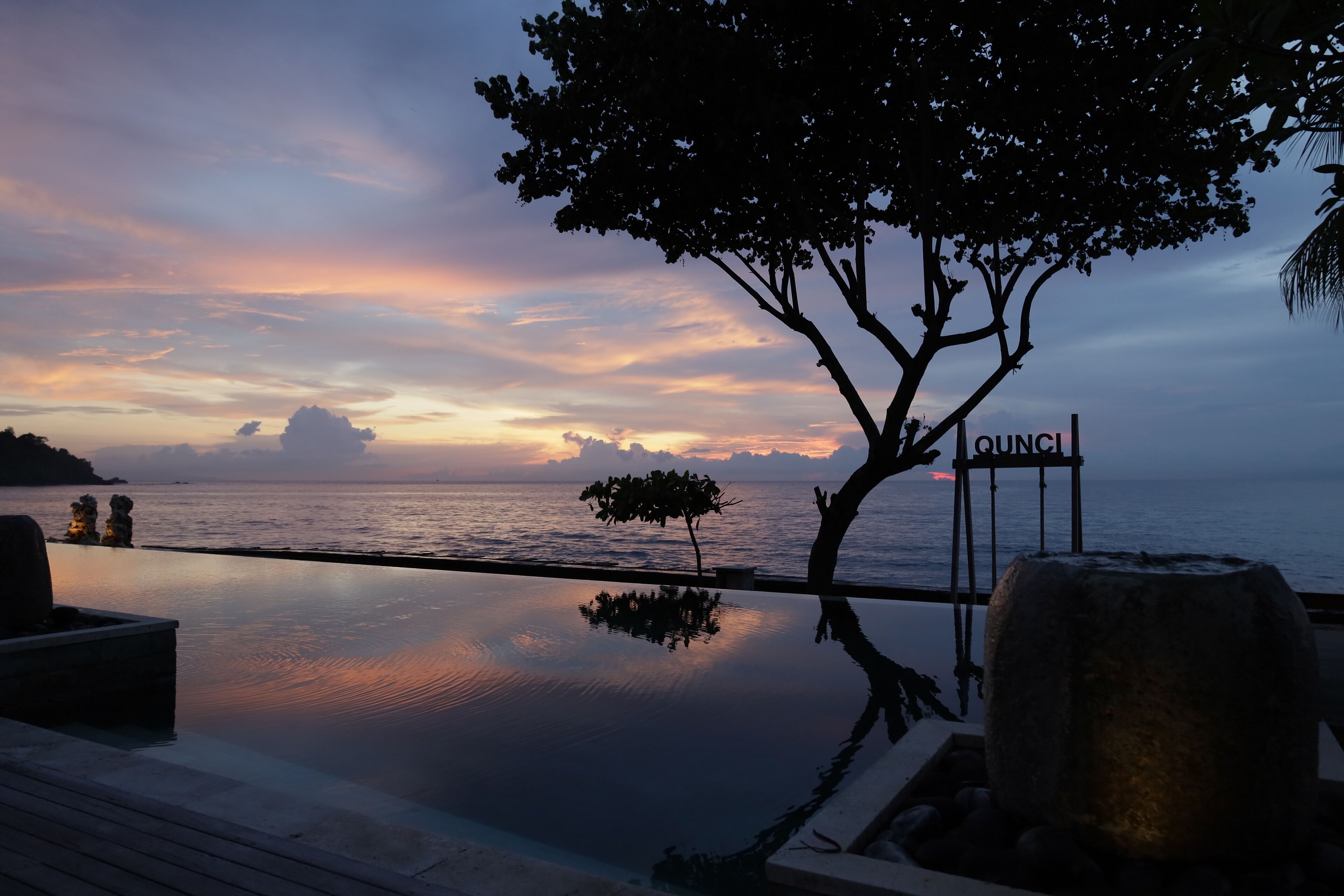 Ein Infinity-Pool mit Blick auf das Meer und einem Baum im Vordergrund.
