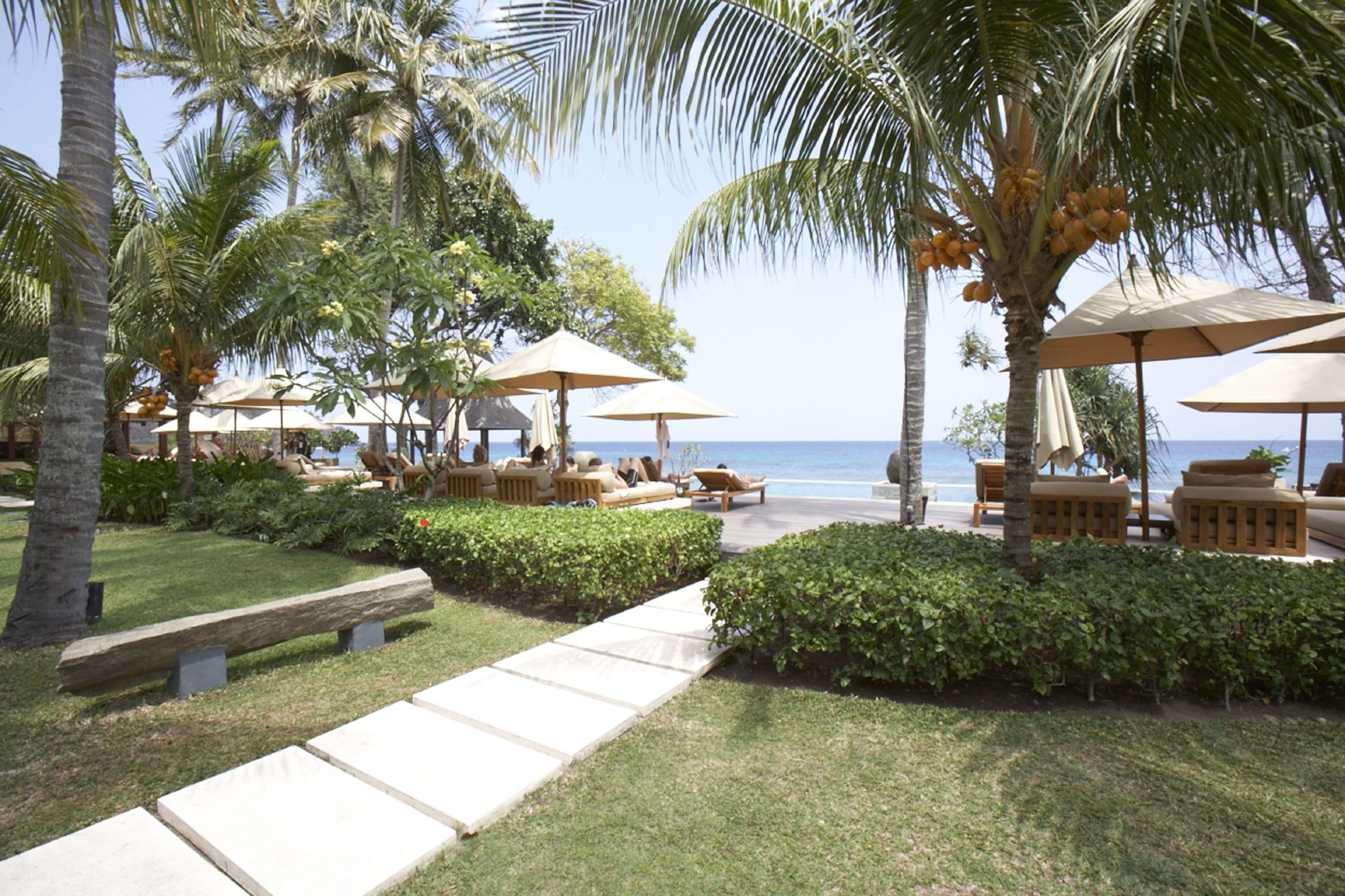 Un resort con palmeras, sillas de descanso y sombrillas frente al mar.