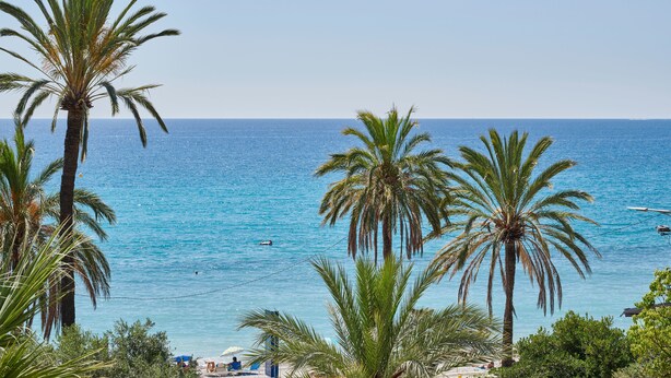 Küstenansicht mit Palmen und blauem Meer.