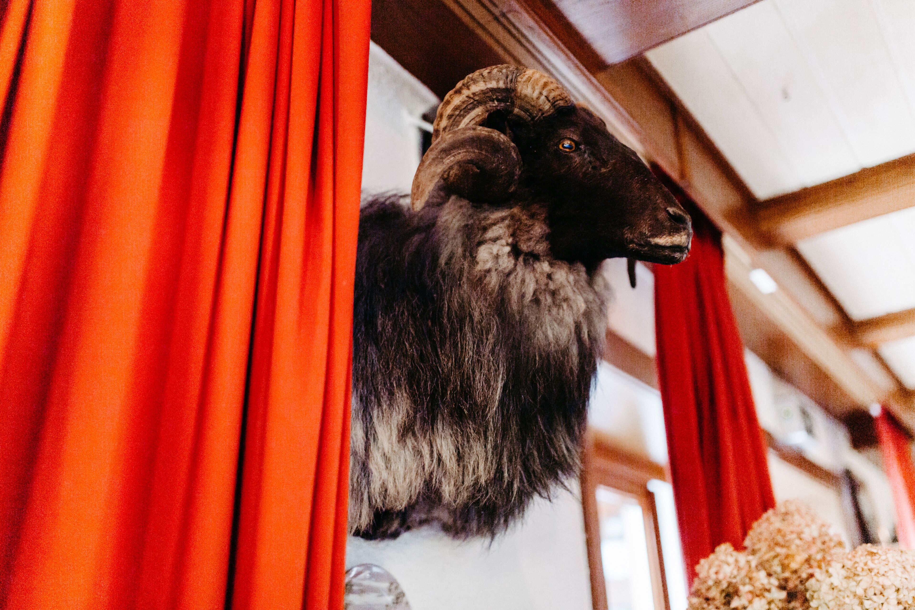 lunch and dinner served, regional cuisine