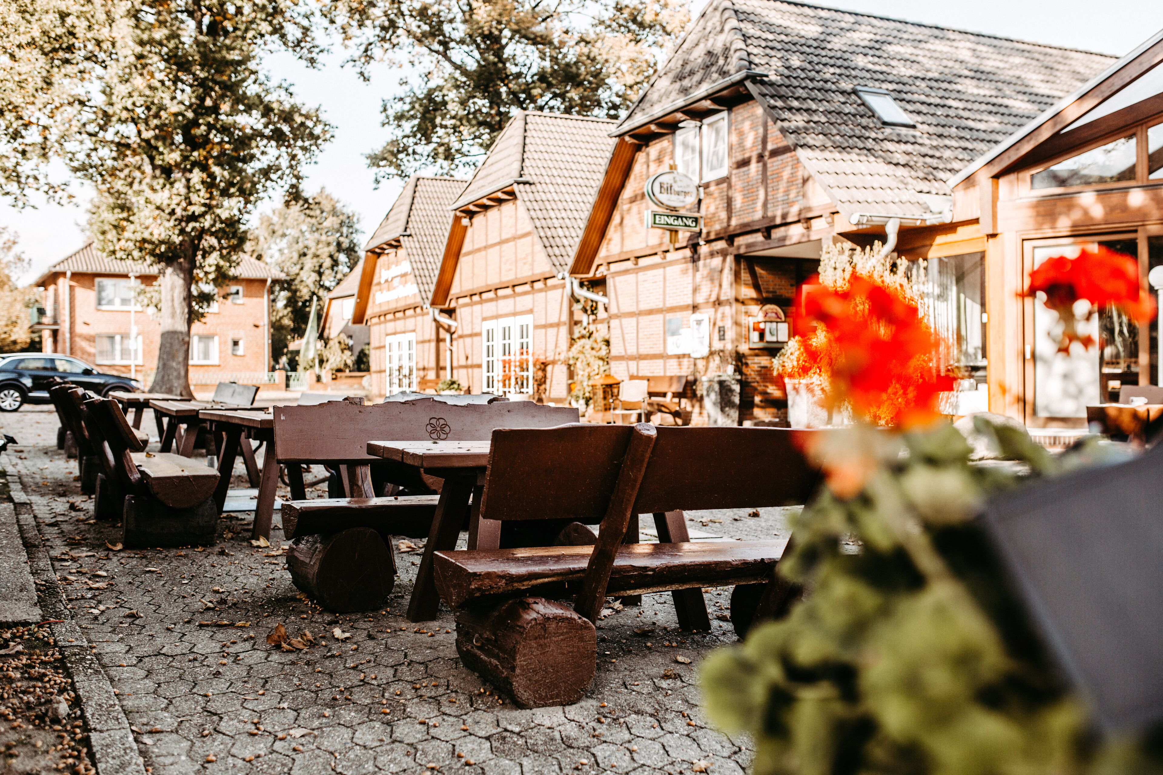 Serveert lunch en diner, regionale gerechten