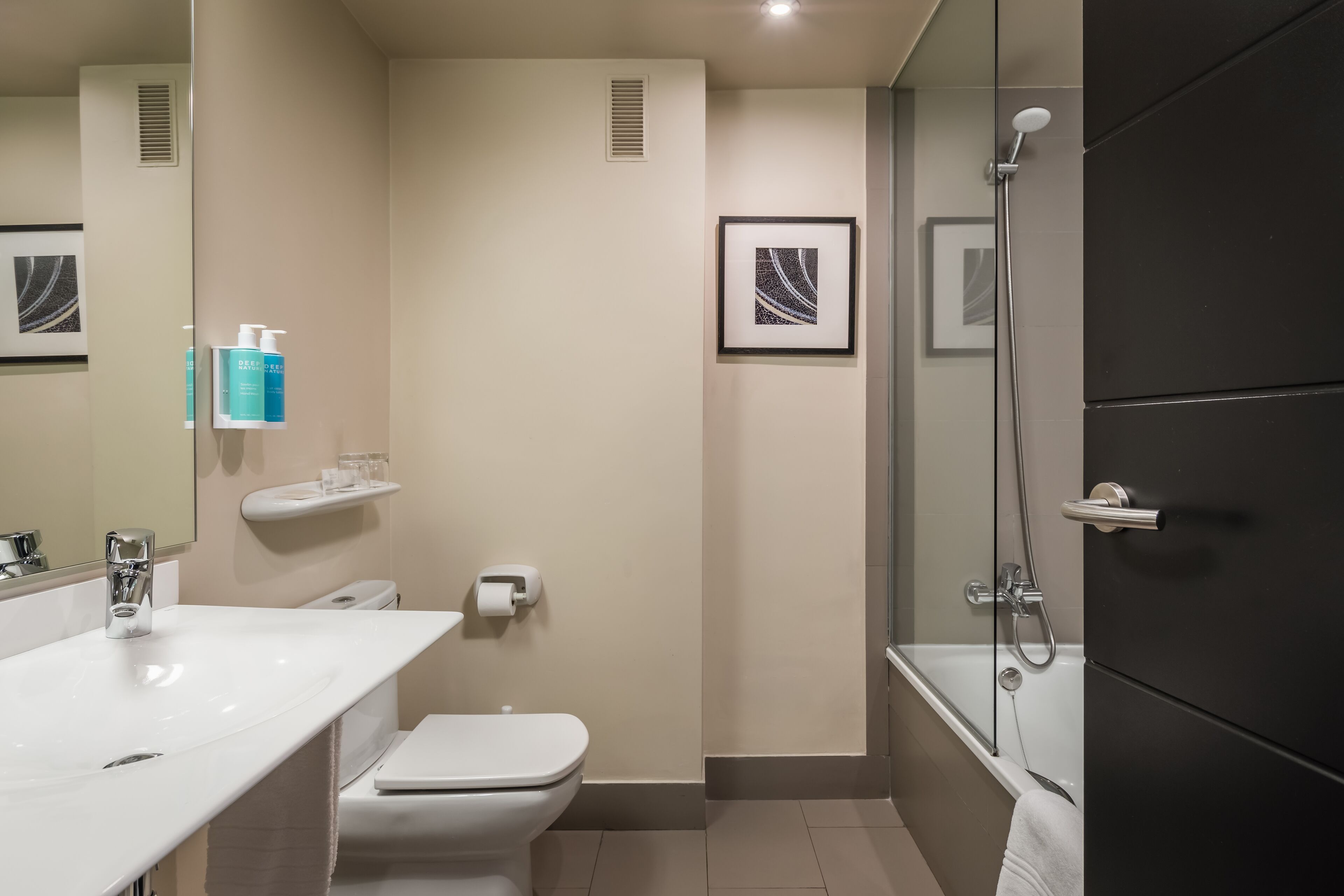 combined shower/bathtub, free toiletries, hair dryer, bidet