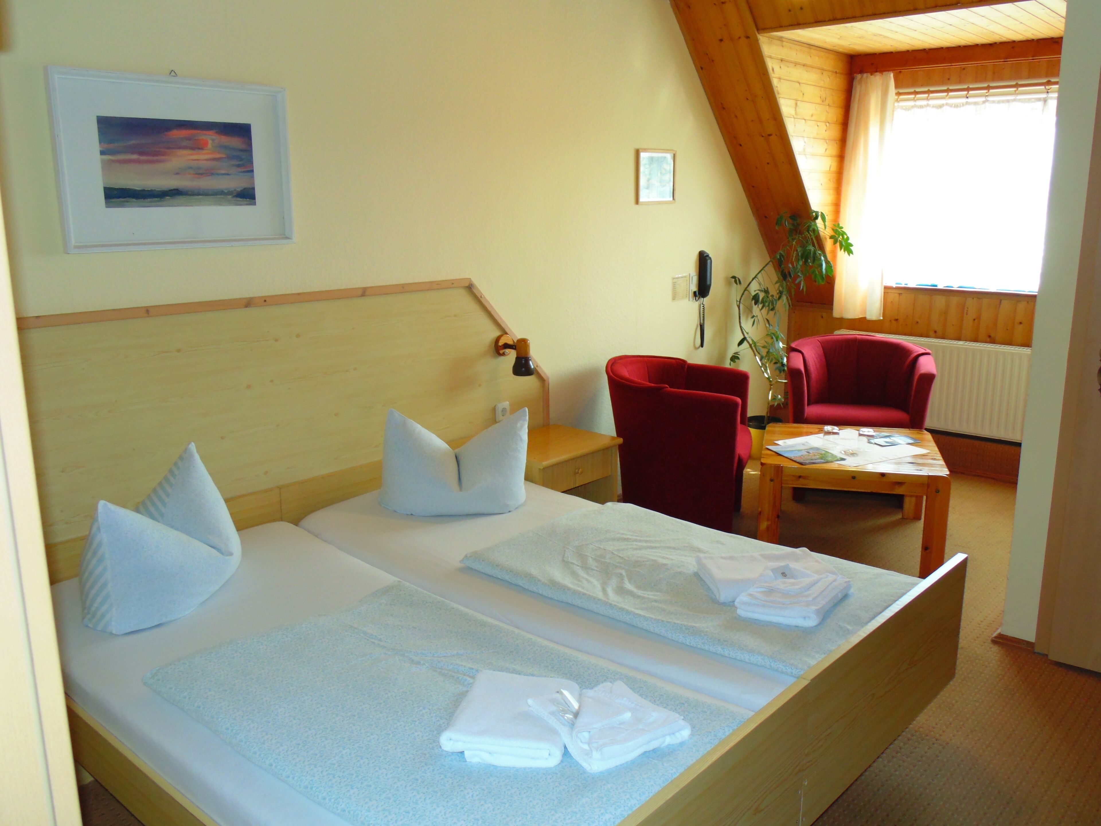 Phòng đôi hoặc 2 giường đơn tiện nghi đơn giản | Minibar, két bảo mật tại phòng, màn/rèm cản sáng 