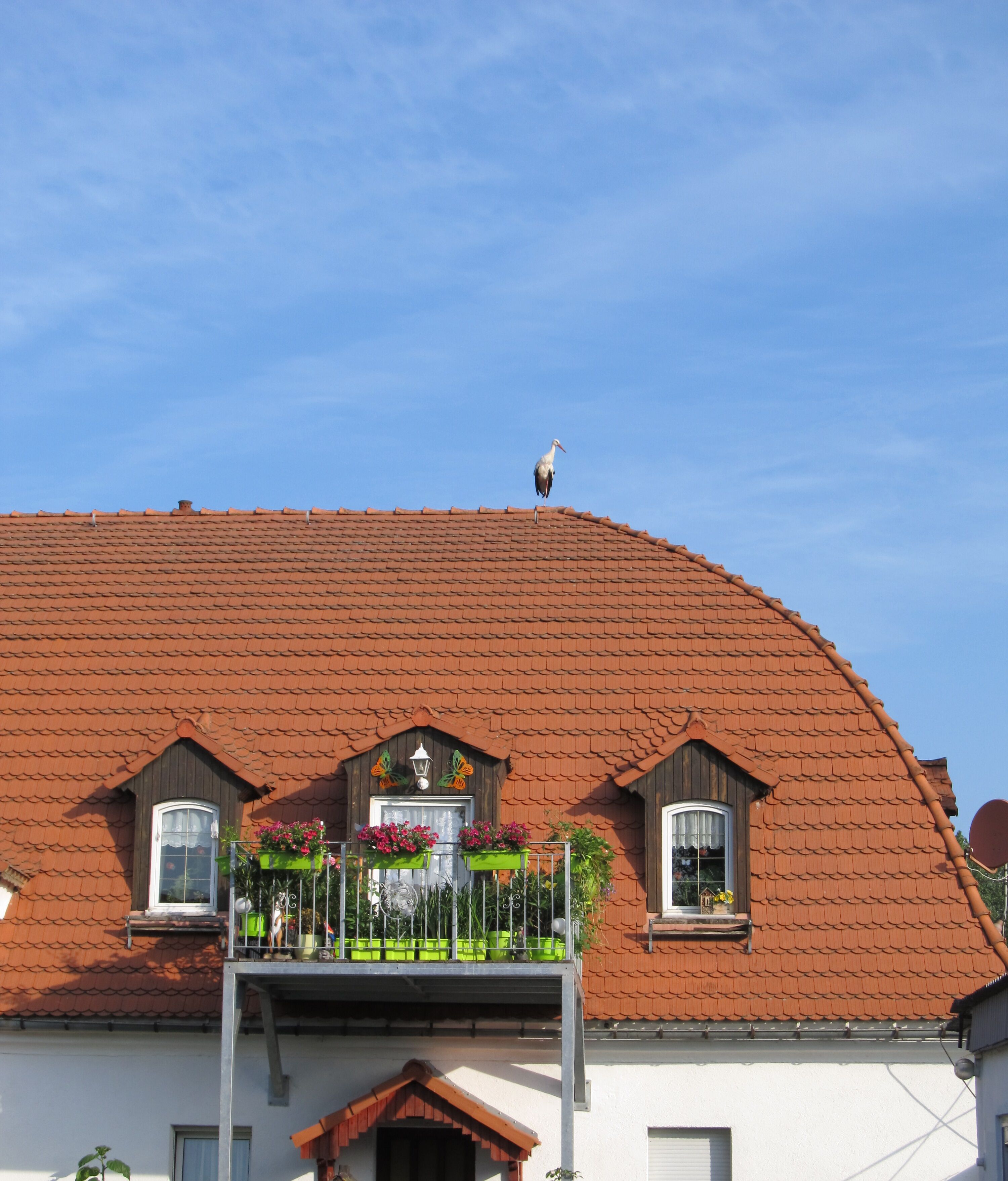 Mặt tiền nơi lưu trú