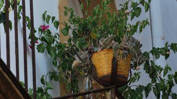A balcony with wicker baskets and climbing plants.