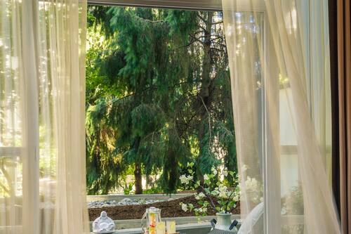 Premier Room, 1 Bedroom, Terrace, Garden View | View from room