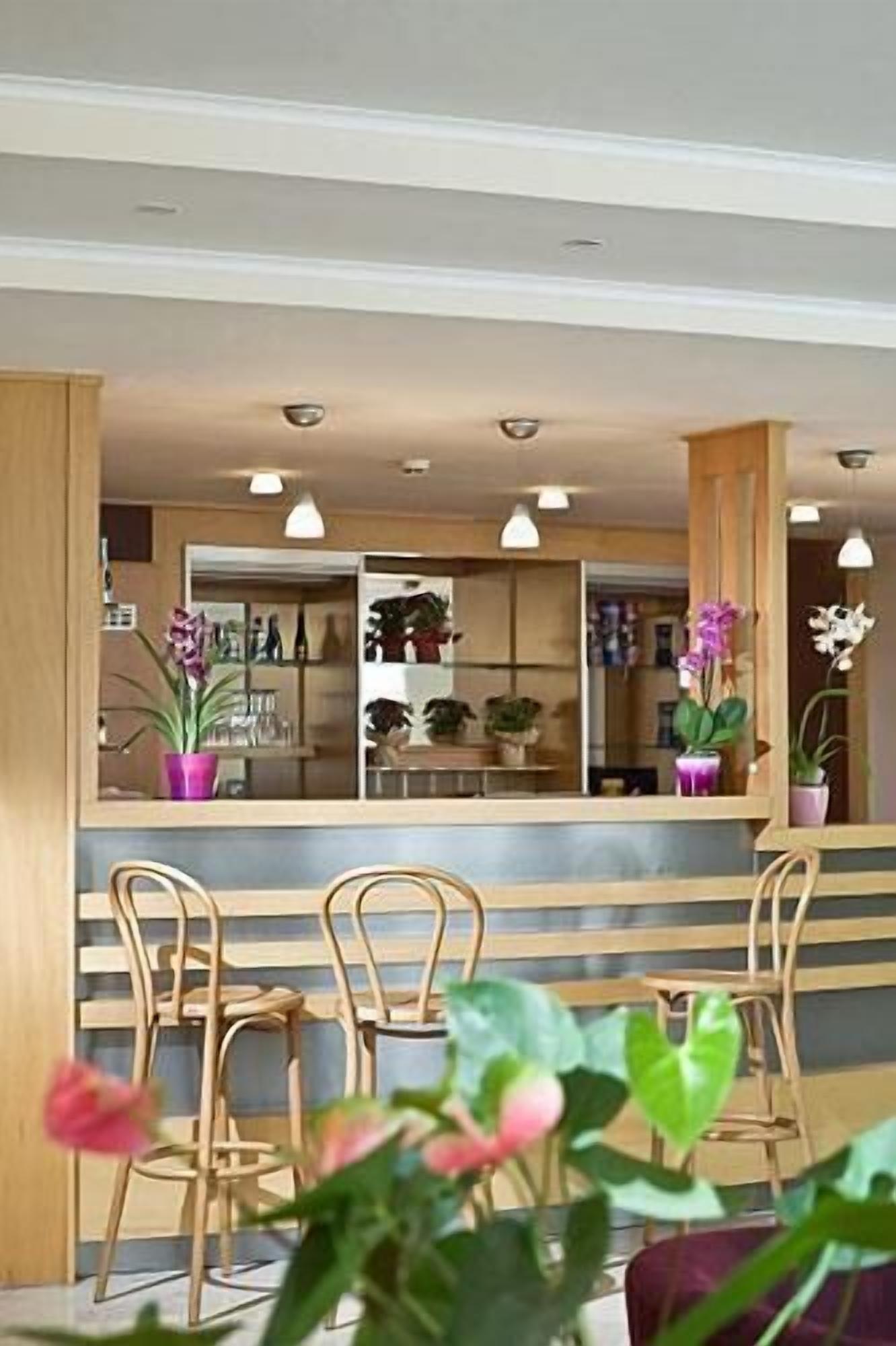 Un espace d’accueil avec un comptoir, des chaises et des plantes en pot.