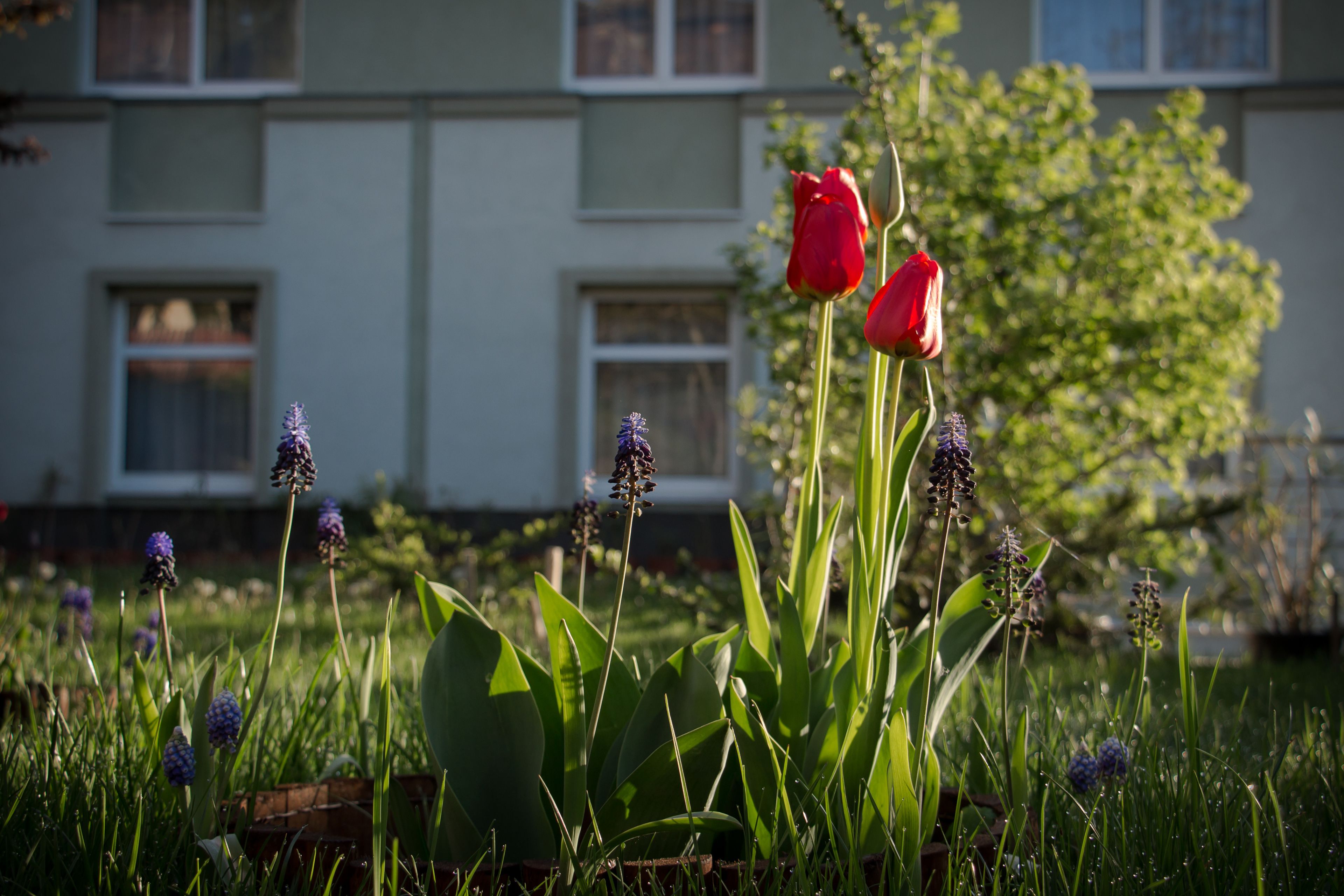 Foto - Jagelló Business Hotel