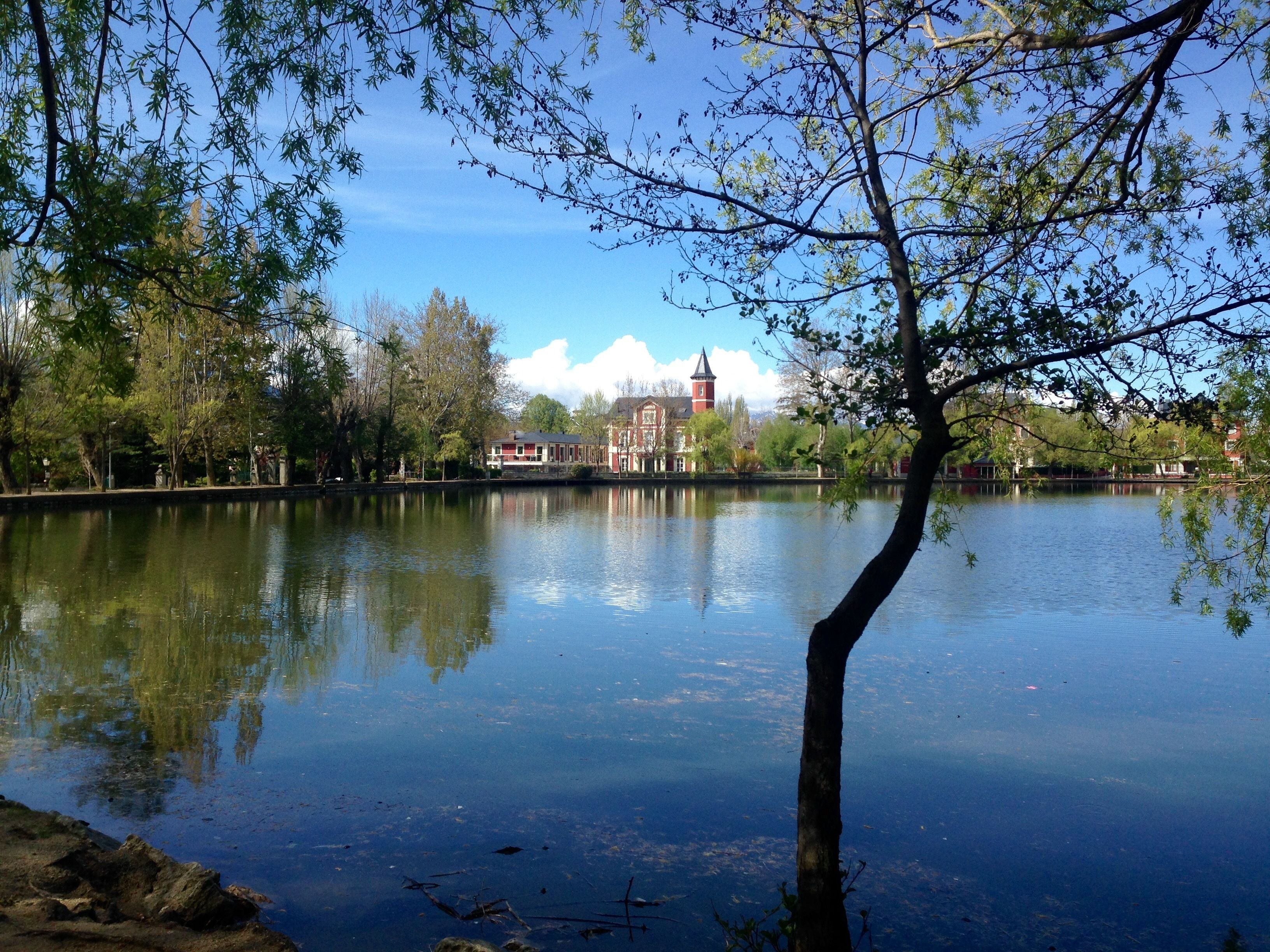 1 bedroom, premium bedding, minibar, in-room safe