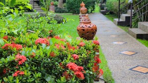A garden pathway with a tiled floor, surrounded by lush greenery and red flowers. - Andaman Seaside Resort (Choeng Thale)